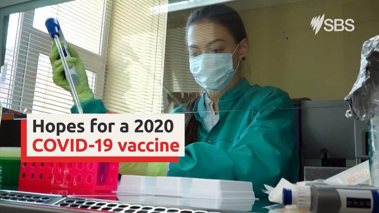 Experts are hopeful a COVID-19 vaccine maybe ready by the end of 2020