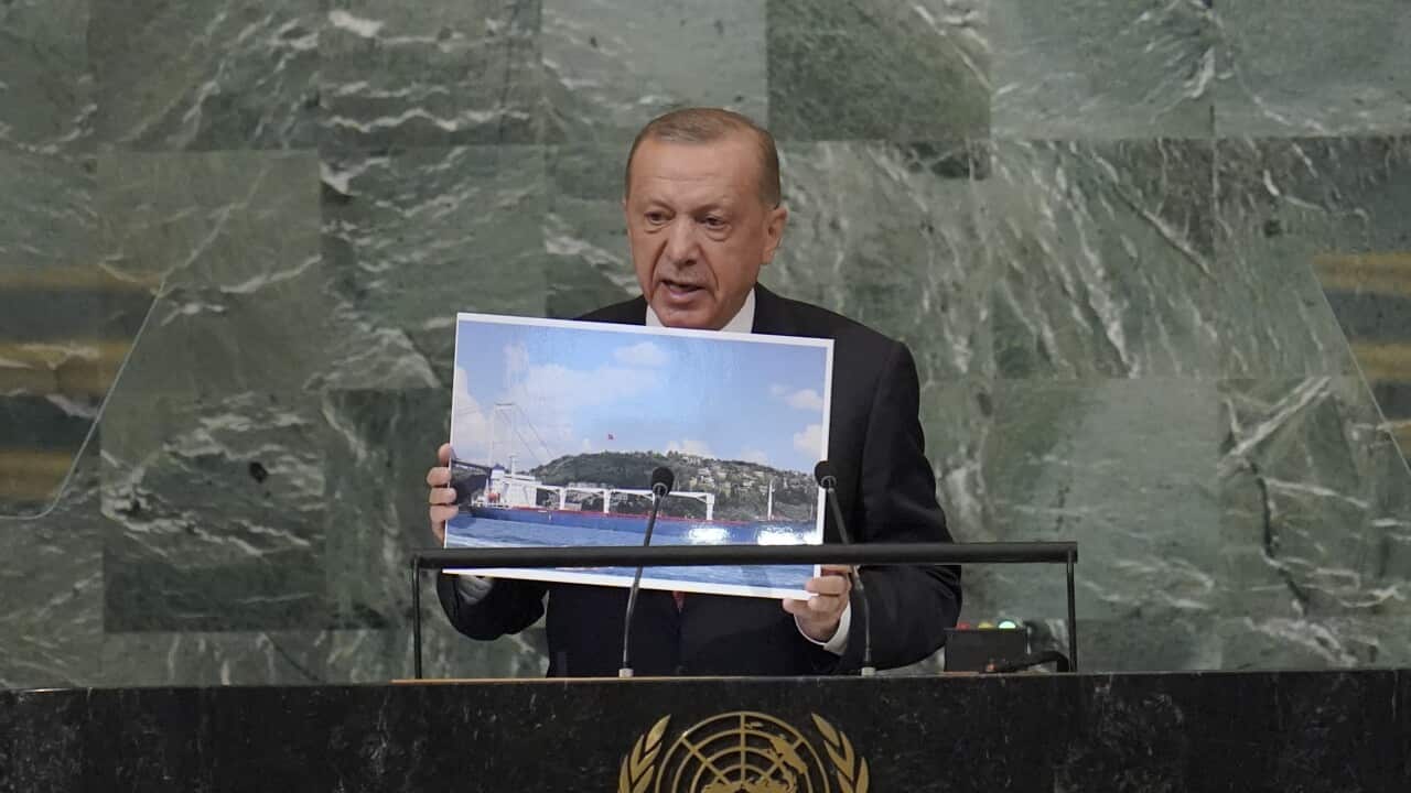 Image for read more article 'READ MORE'