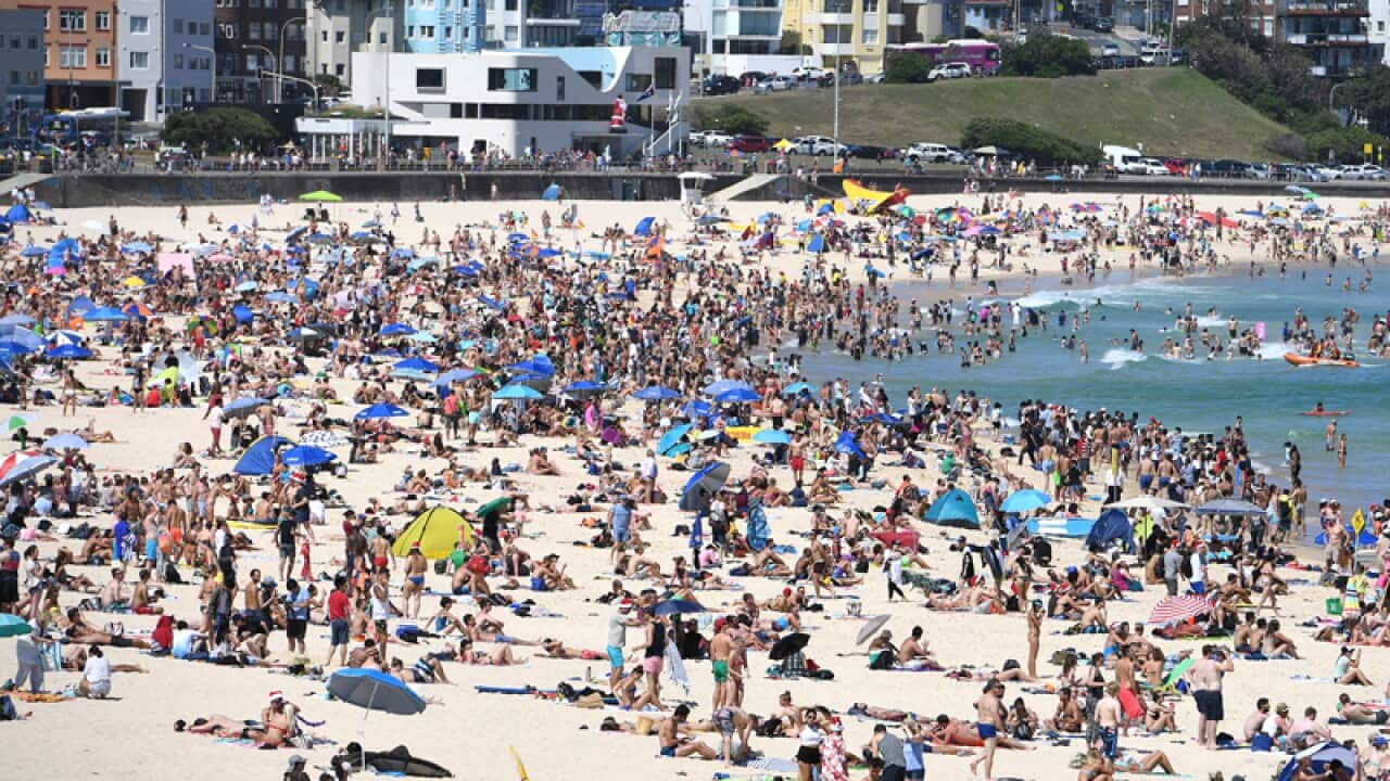 Image for read more article 'READ MORE'