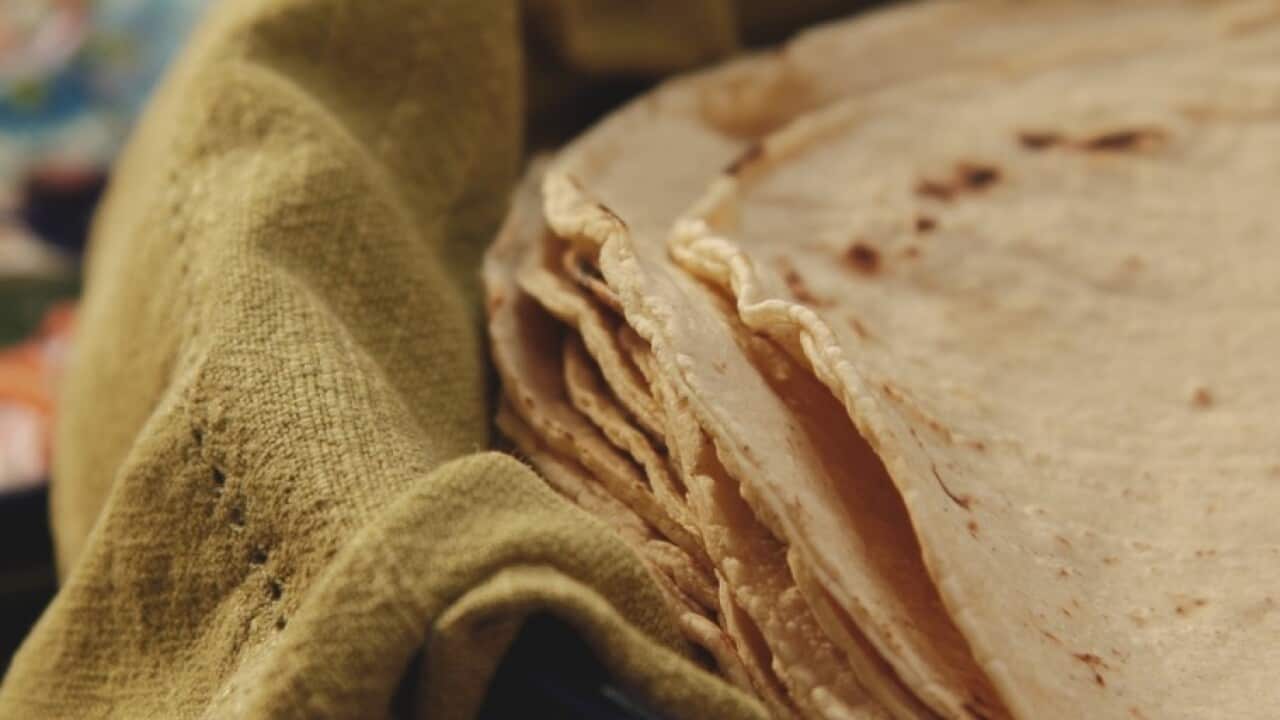 Pati's corn tortillas
