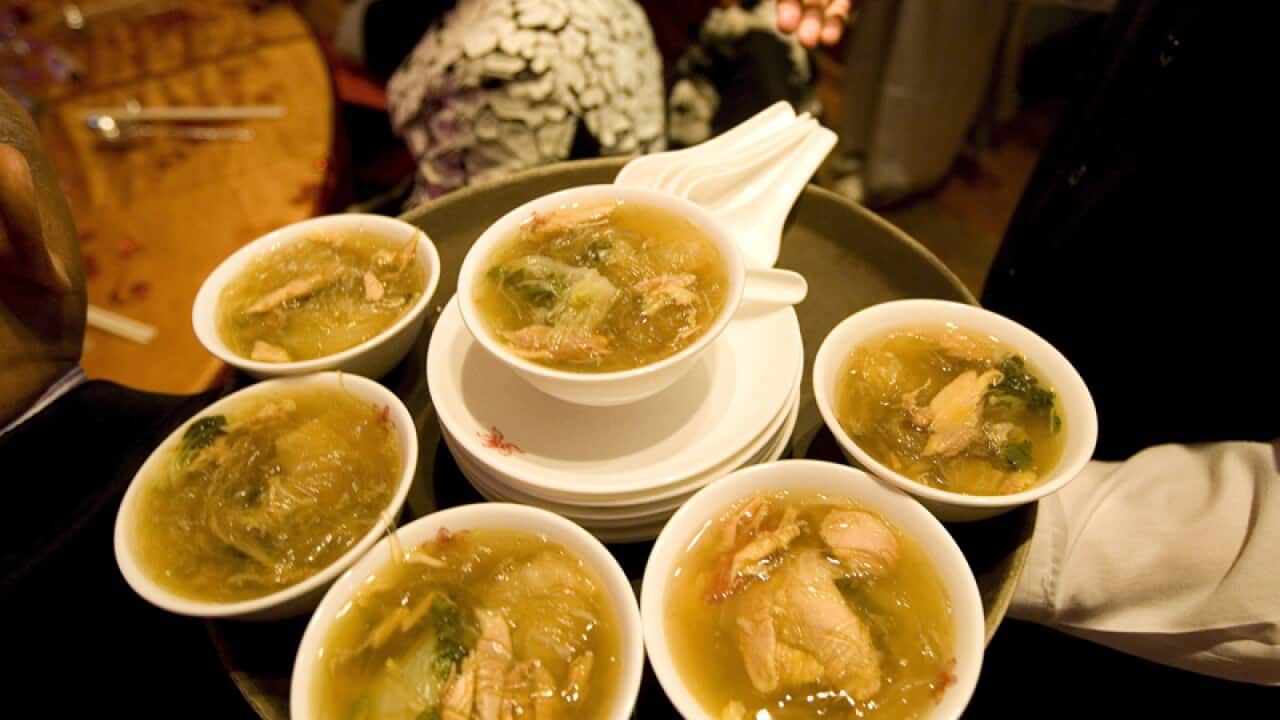 Shark fin soup