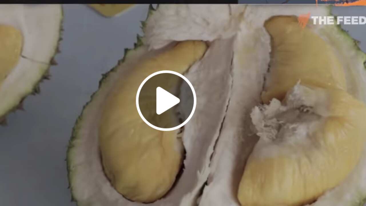 Durian