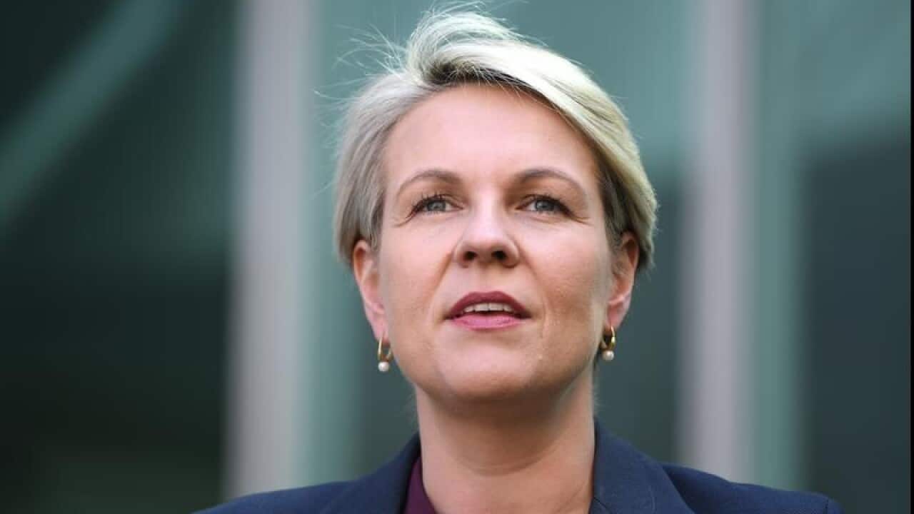 Labor deputy leader Tanya Plibersek
