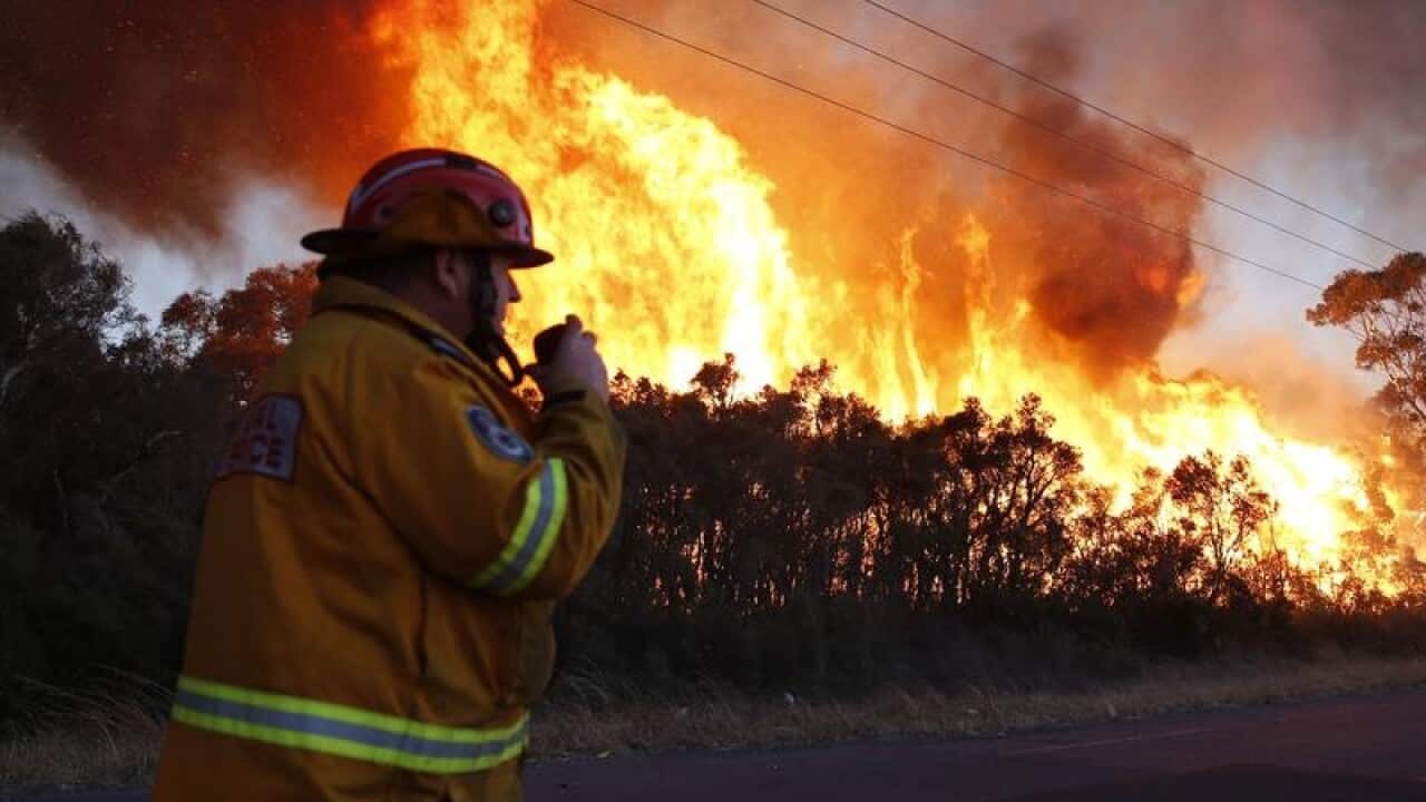 Fire crews back burn areas of bushland at Salt Ash