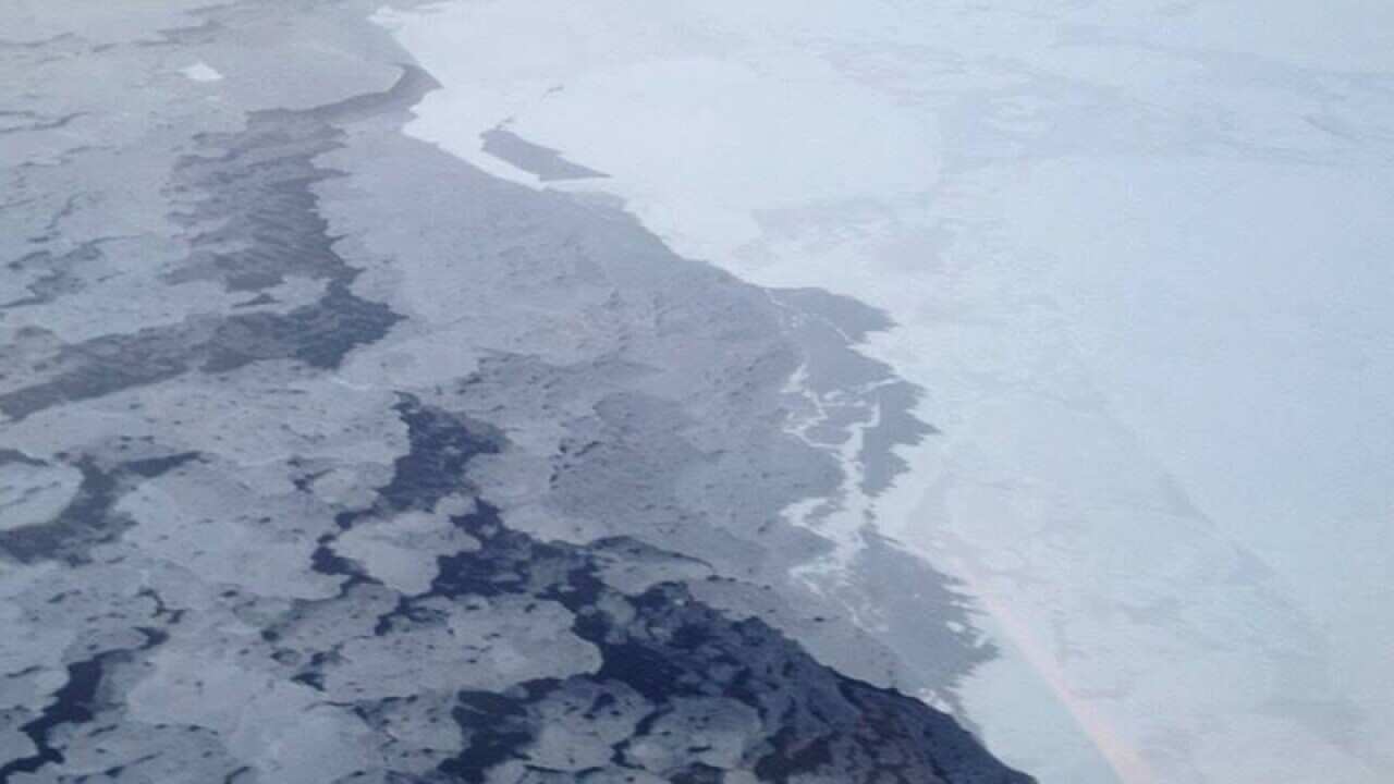Arctic sea ice in early 2013