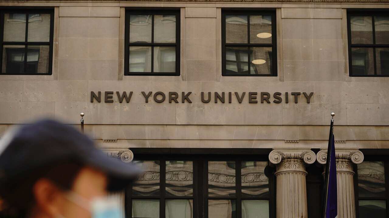 New York University