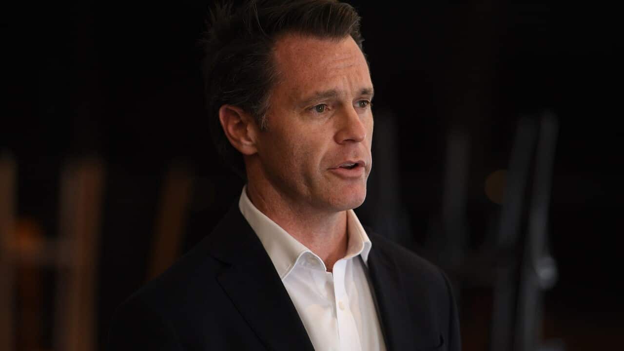 NSW Opposition Leader Chris Minns
