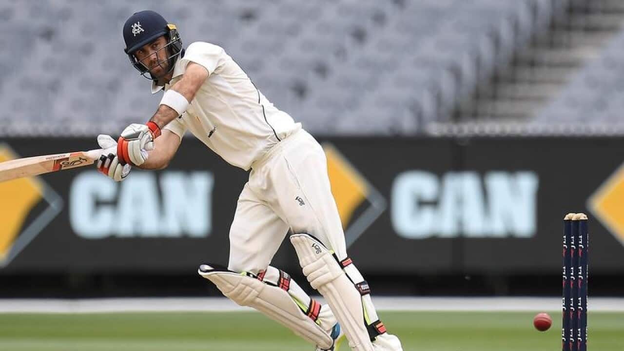 Glenn Maxwell in action for Victoria.