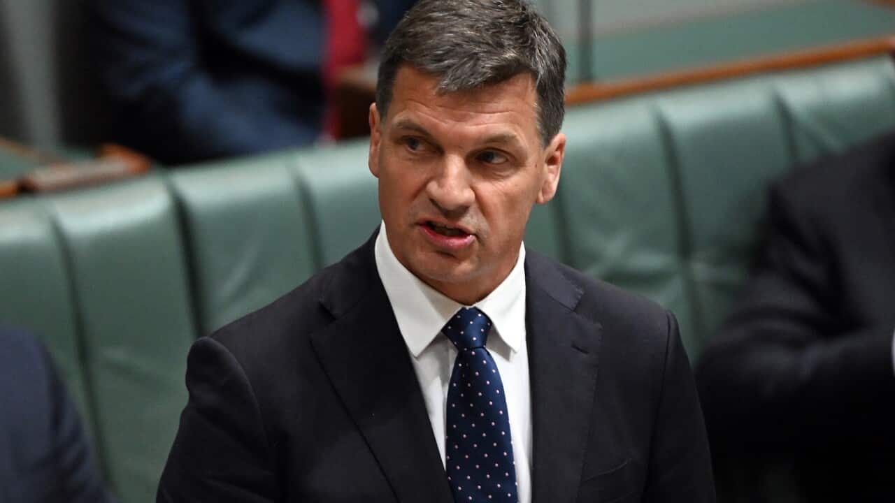Shadow Treasurer Angus Taylor
