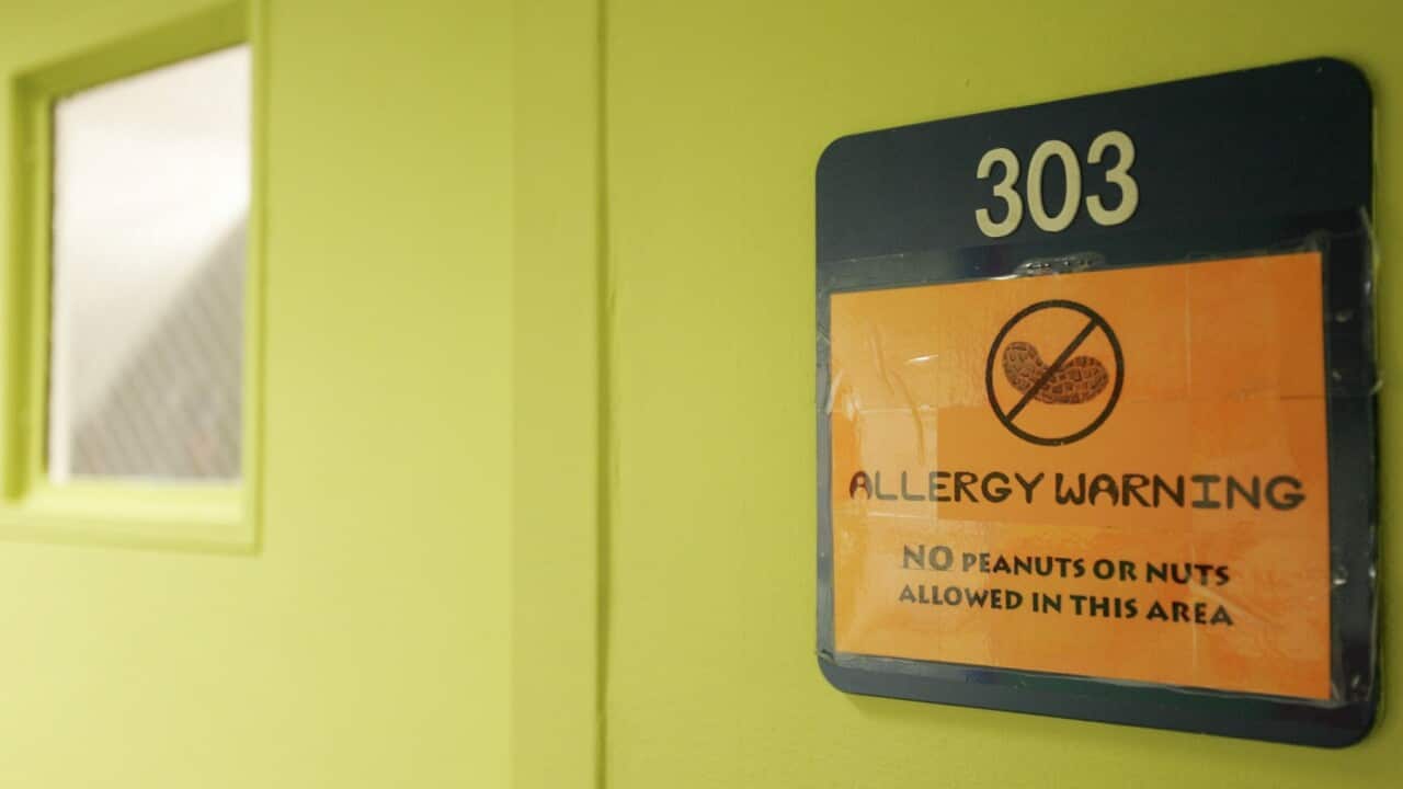 Peanuts and Nuts Banned at School