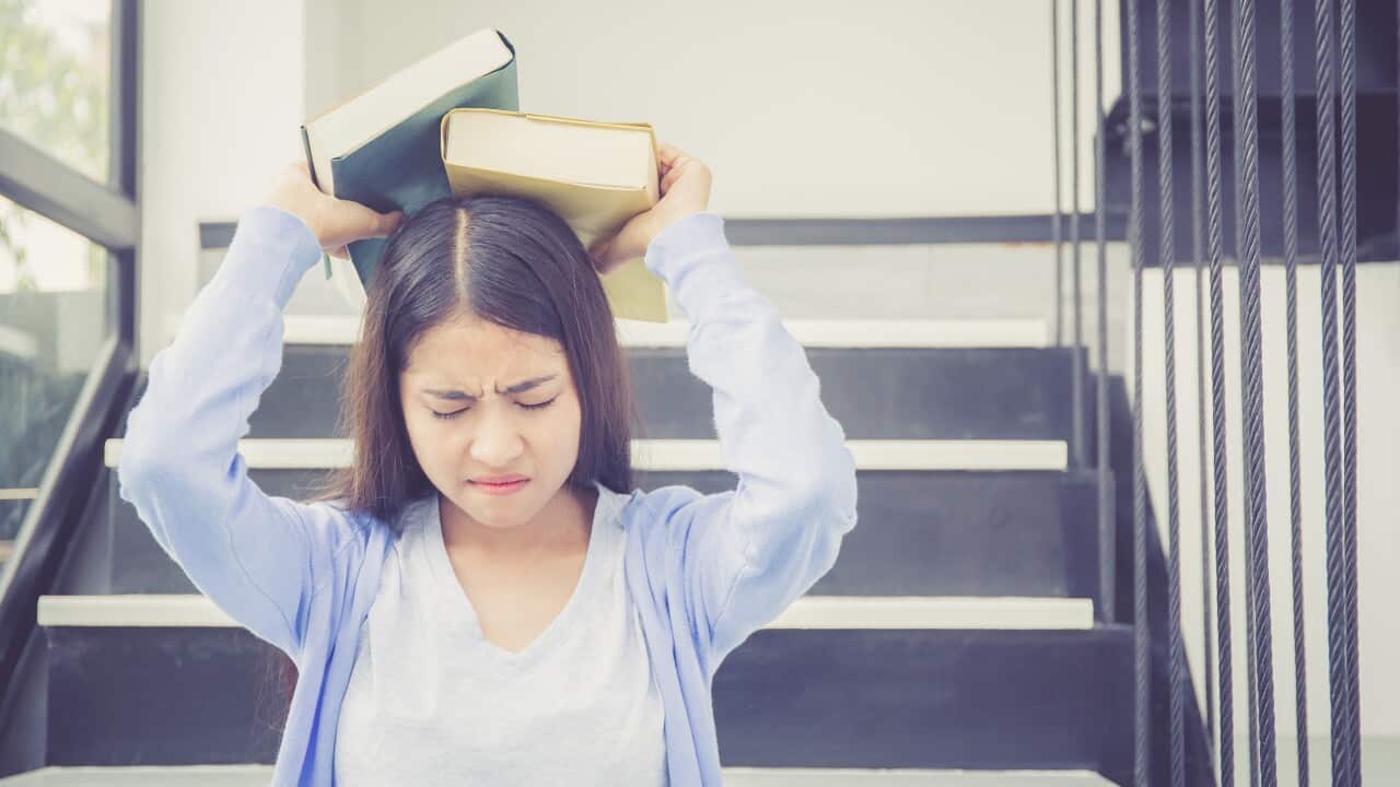 Image for read more article 'READ MORE'