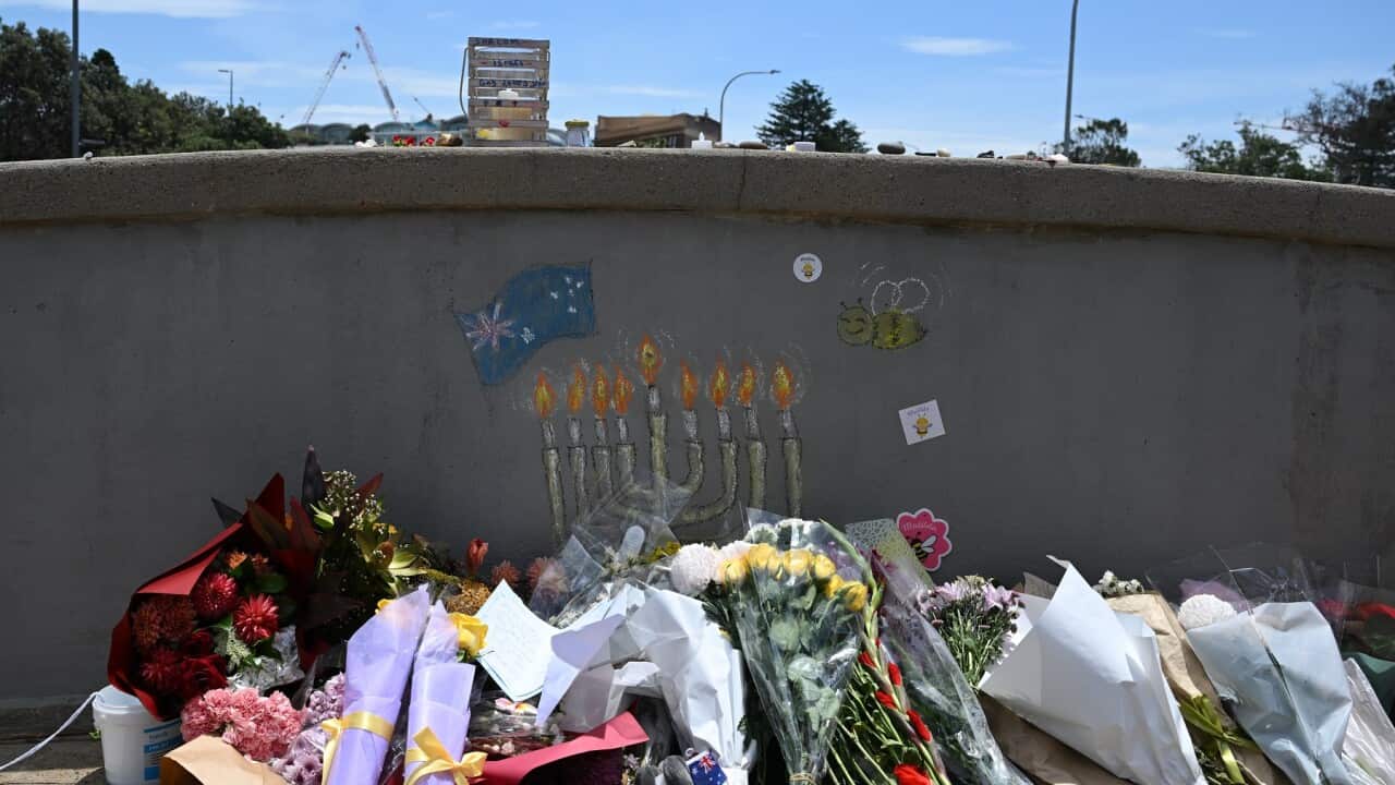 BONDI BEACH SHOOTING