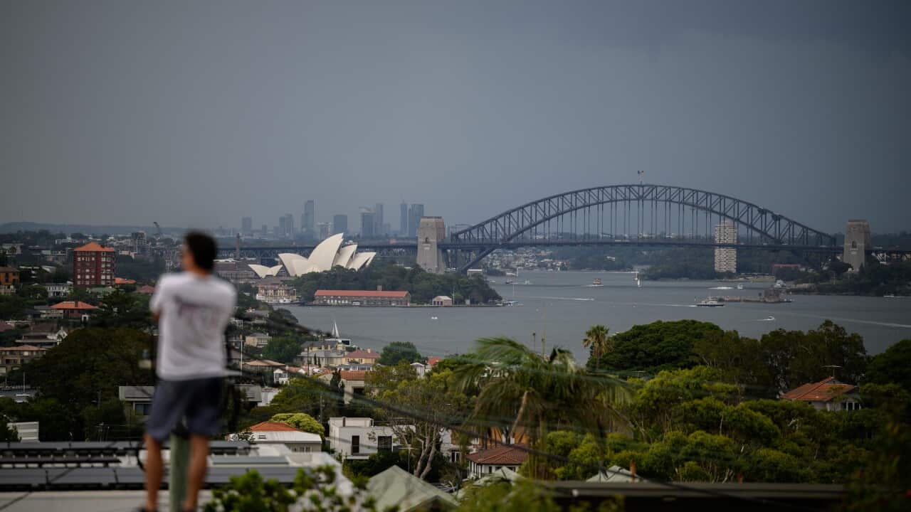A man standing on a hill that overlooks a rainy Sydney Harbour.