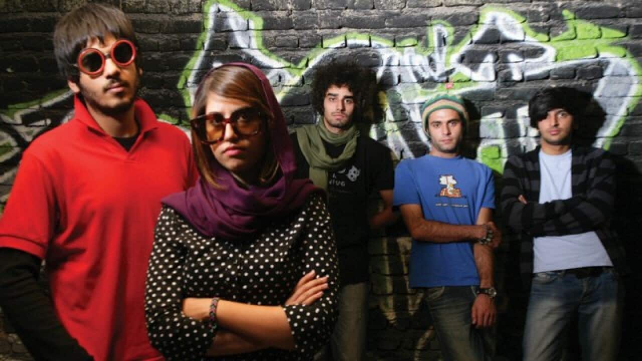 کسی از گربه های ایرانی خبر ندارد