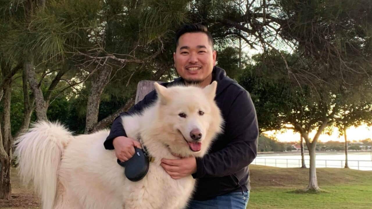 Image for read more article ''