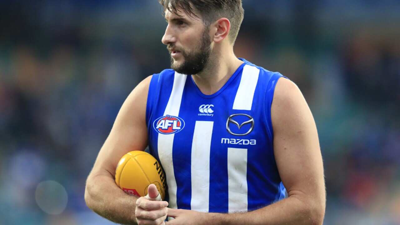 North Melbourne veteran Jarrad Waite