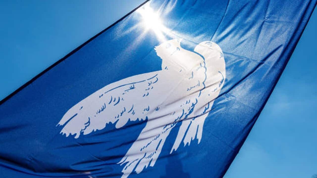 A flag with a peace dove covers the sun.jpg