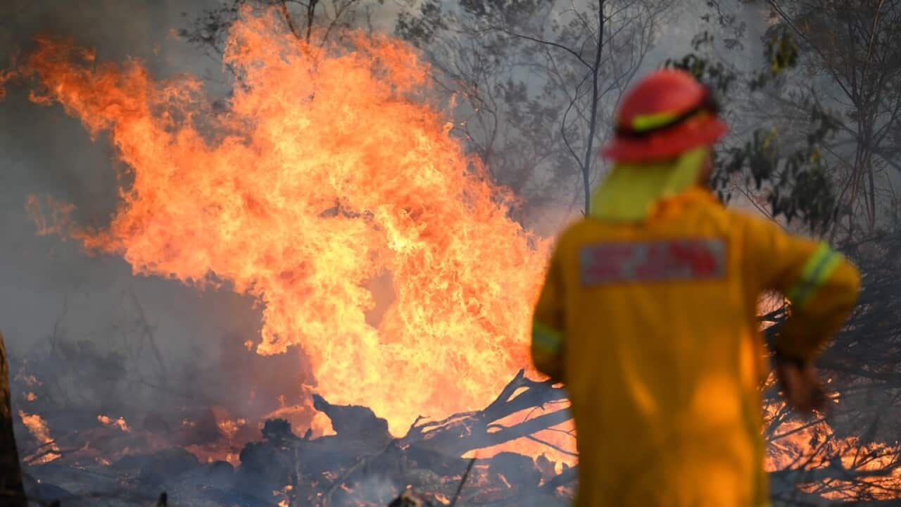 Image for read more article 'READ MORE'