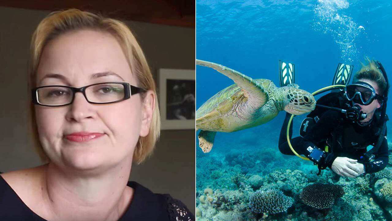 The Great Barrier Reef Foundation's Anna Marsden says that no one from the charity was contacted by the government.