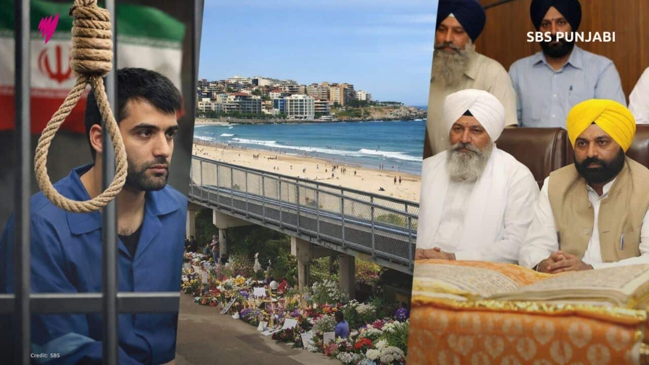 MP's 16x9 (Presentation).jpg