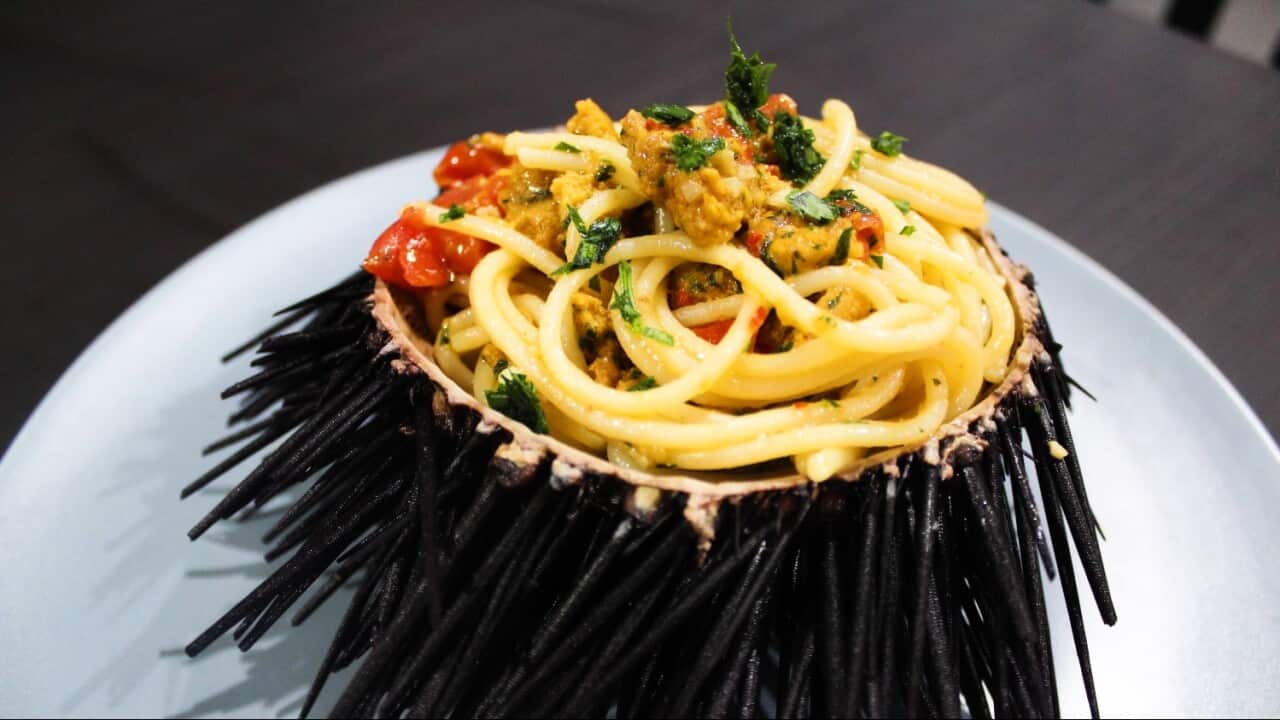Data la grandezza dei ricci di mare australiani, possiamo servire gli spaghetti nel guscio.