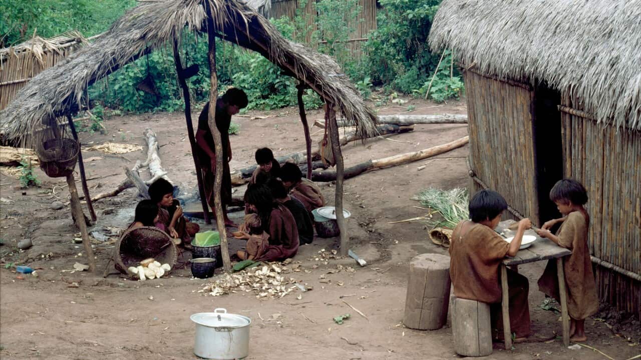An Ashaninka village in the Amazonian rain forest