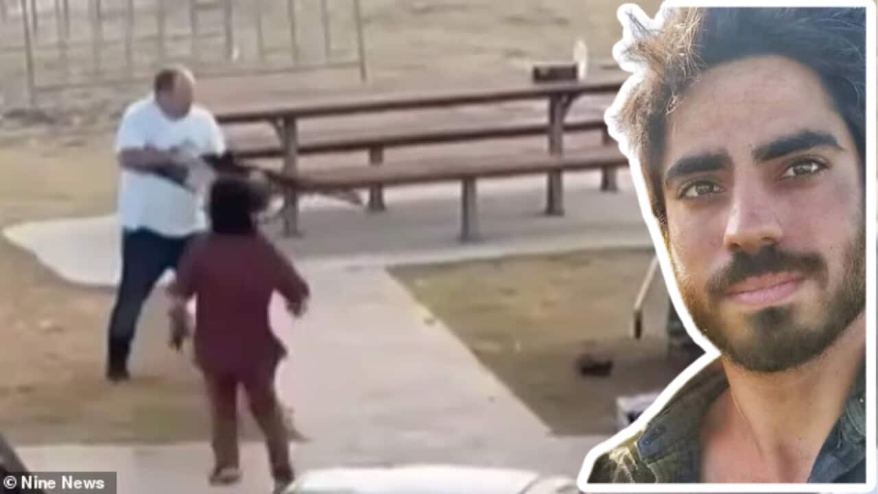 Copy of ALC Header Window Insert (1).png