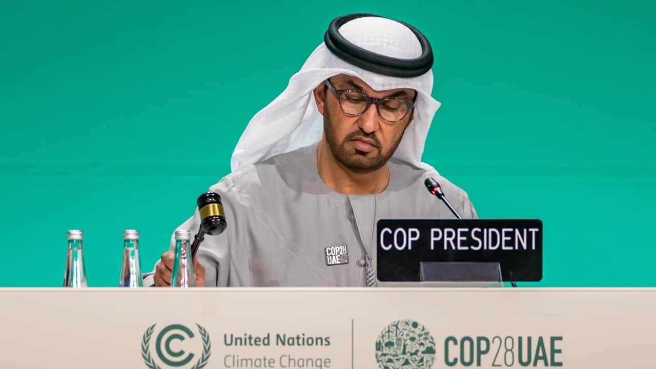 UAE CLIMATE CHANGE CONFERENCE COP28