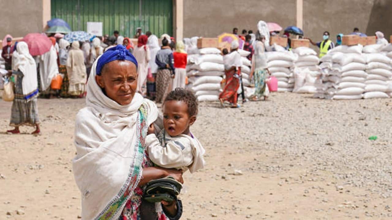 Aid Distribution.jpg