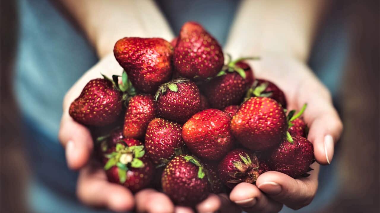 Sideropenia and Nutritious Foods.