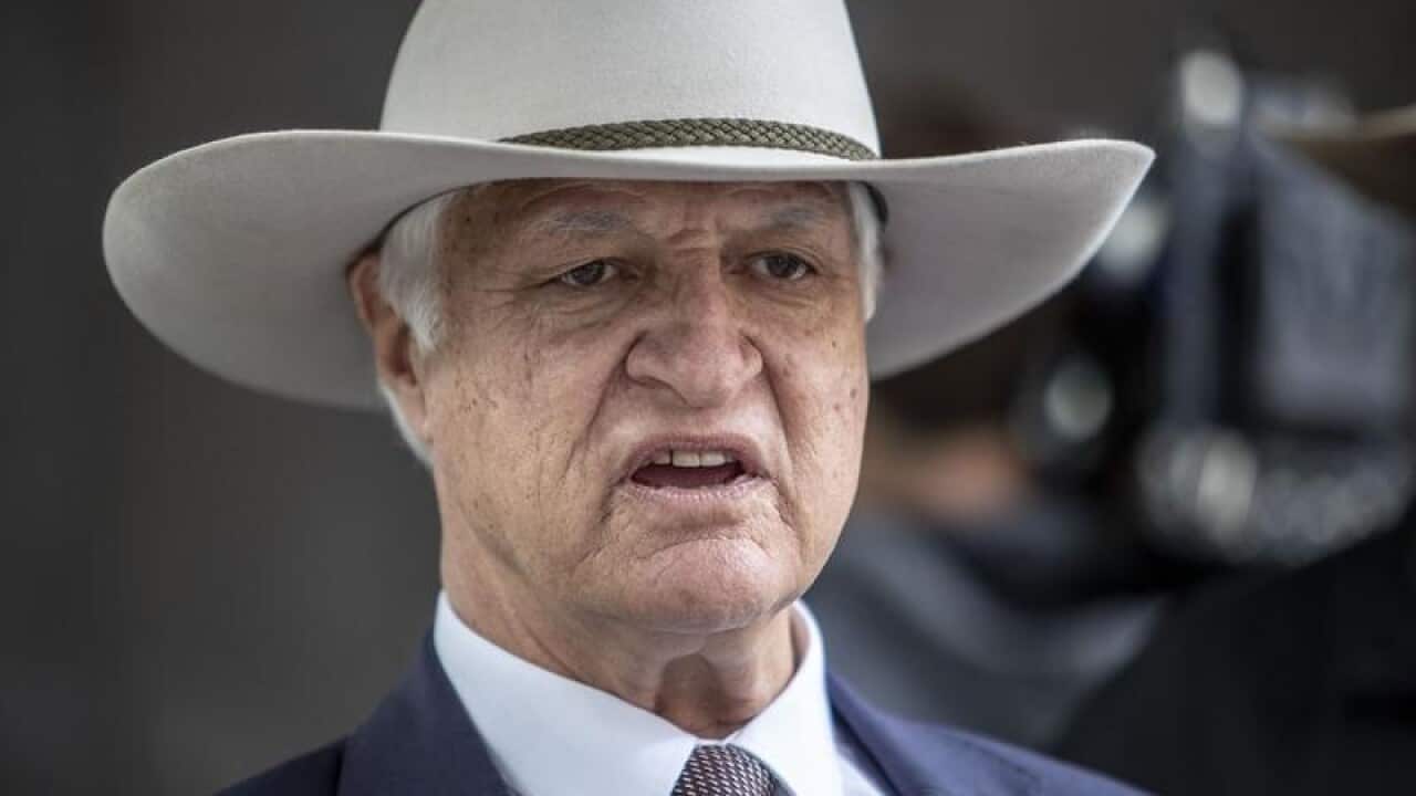 Mr Katter said the president of his Katter’s Australia Party had made it clear Senator Anning's views on race did not align with the party's mission.