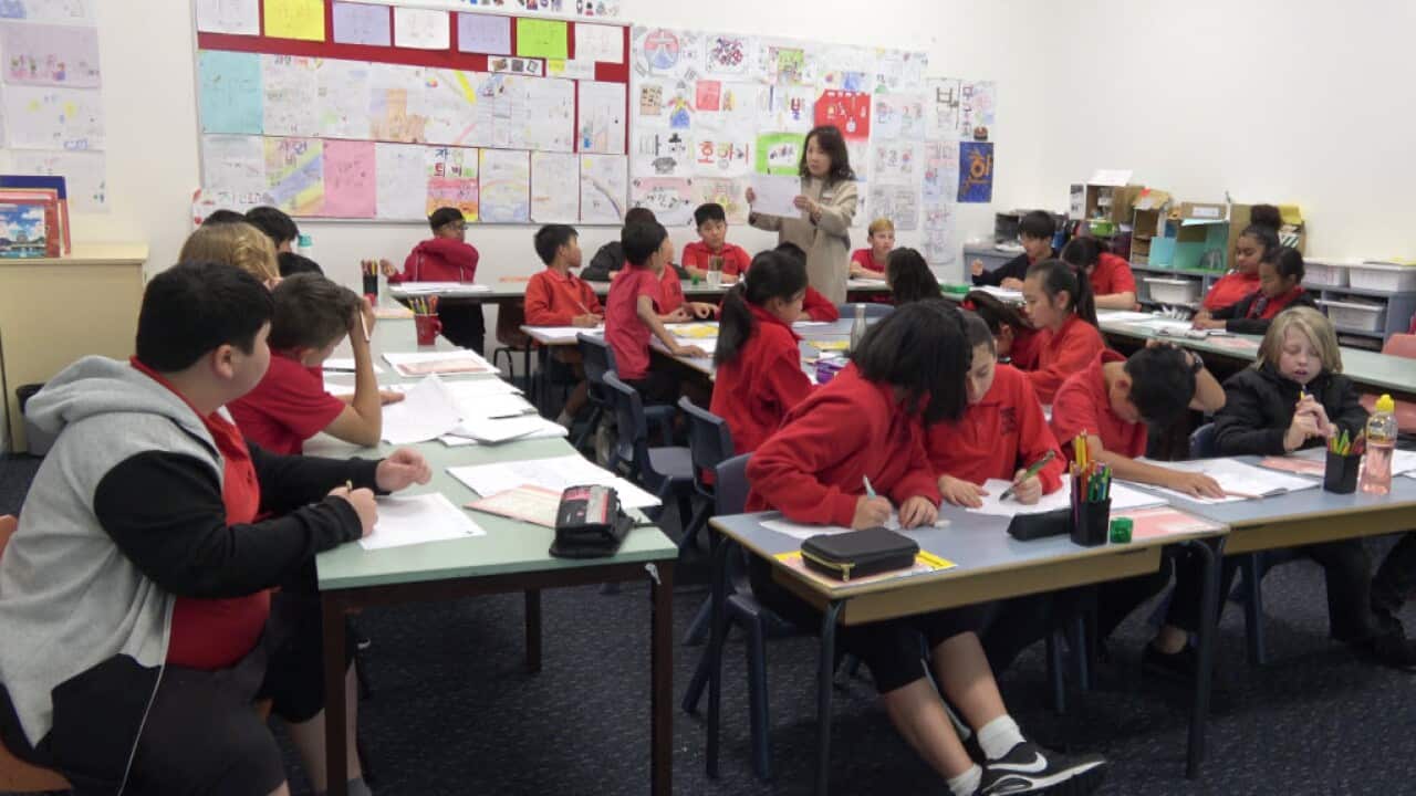 Korean bilingual program at the Campsie public school