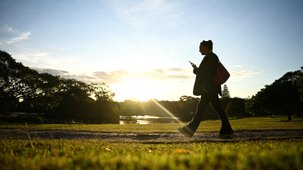 SYDNEY DAILY LIFE