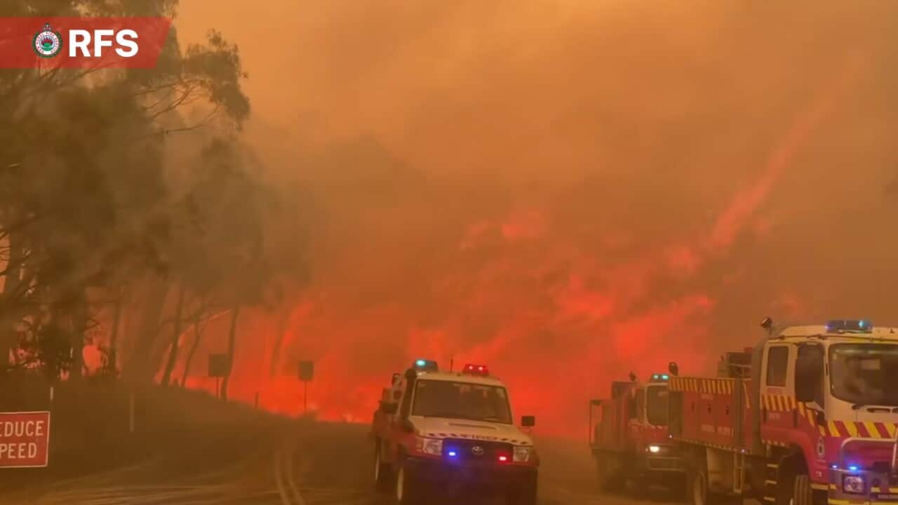 BUSHFIRES NSW