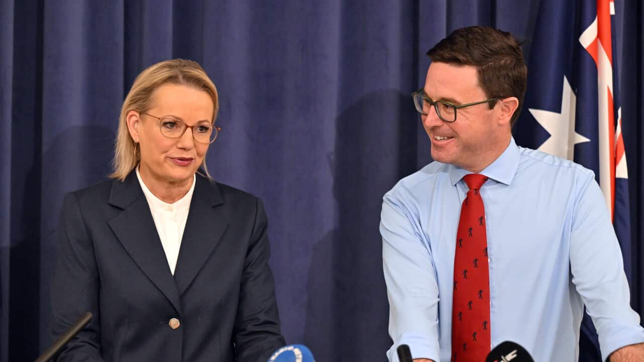 Image for read more article 'READ MORE'