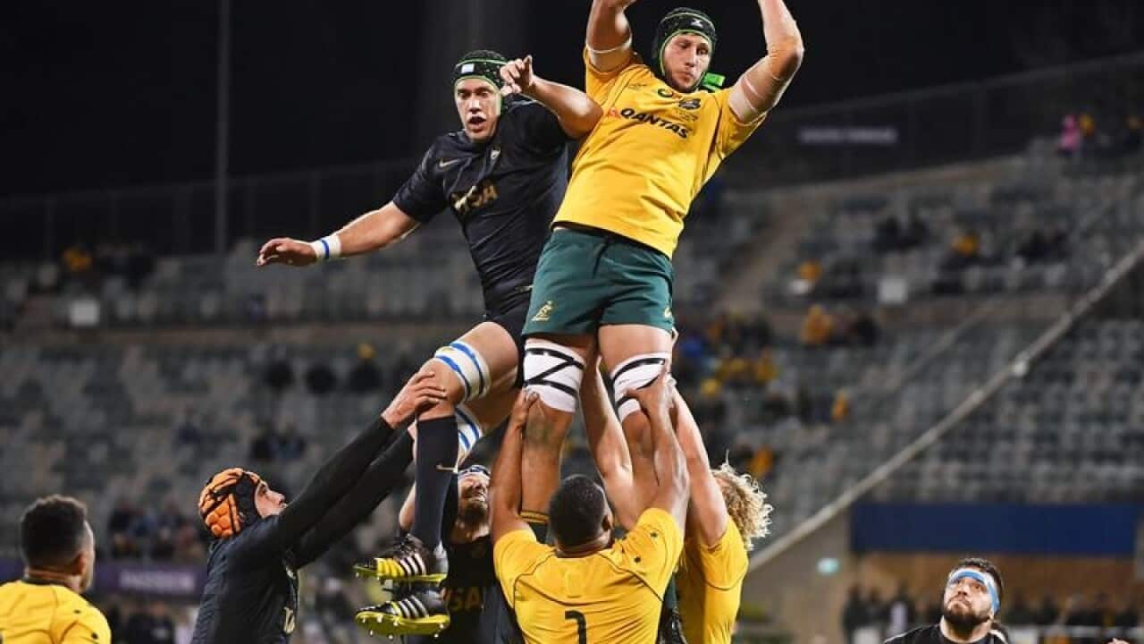 Adam Coleman of the Wallabies