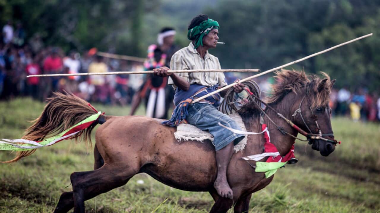 Drunken Horse Racing
