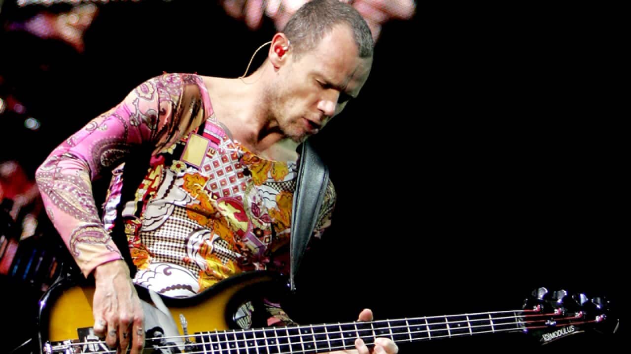 Red Hot Chilli Peppers bassist Flea