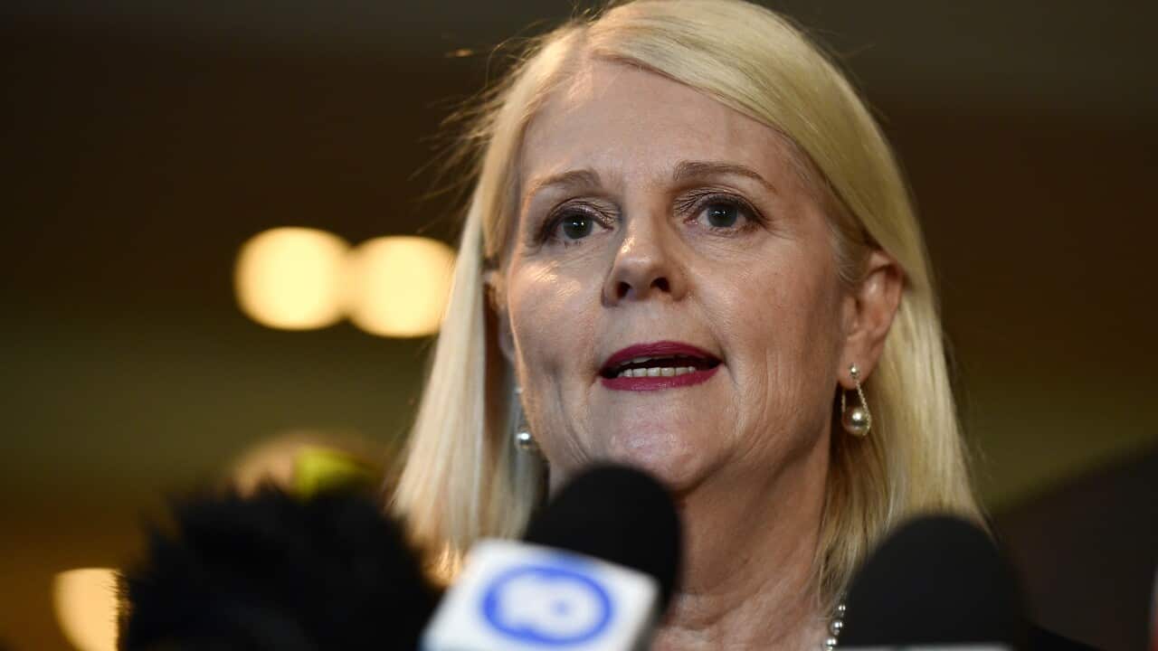 Federal Industry Minister Hon Karen Andrews speaks to the media during a press conference in Sydney.
