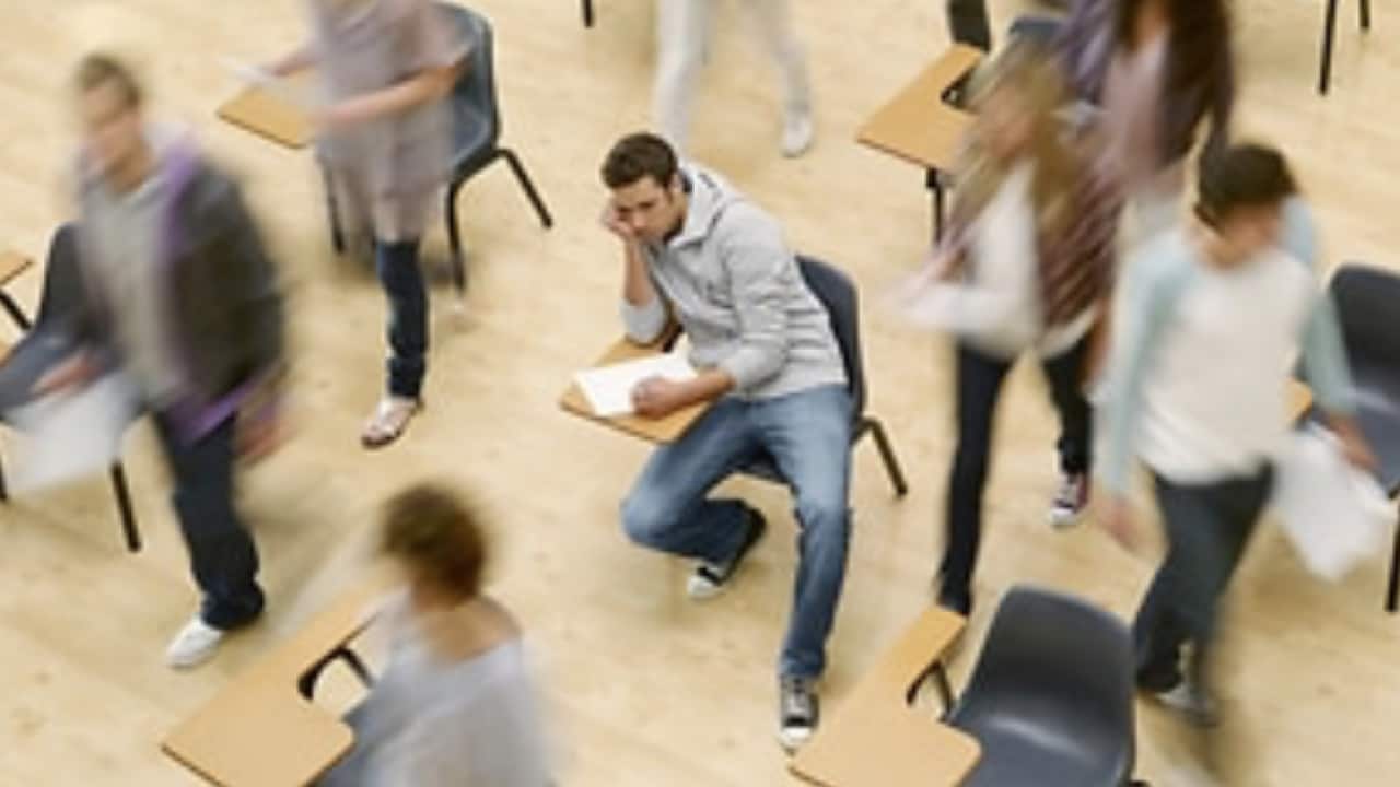 Higher education