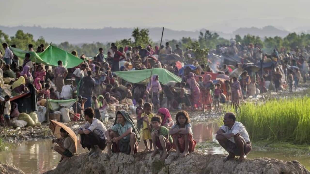 Image for read more article ''