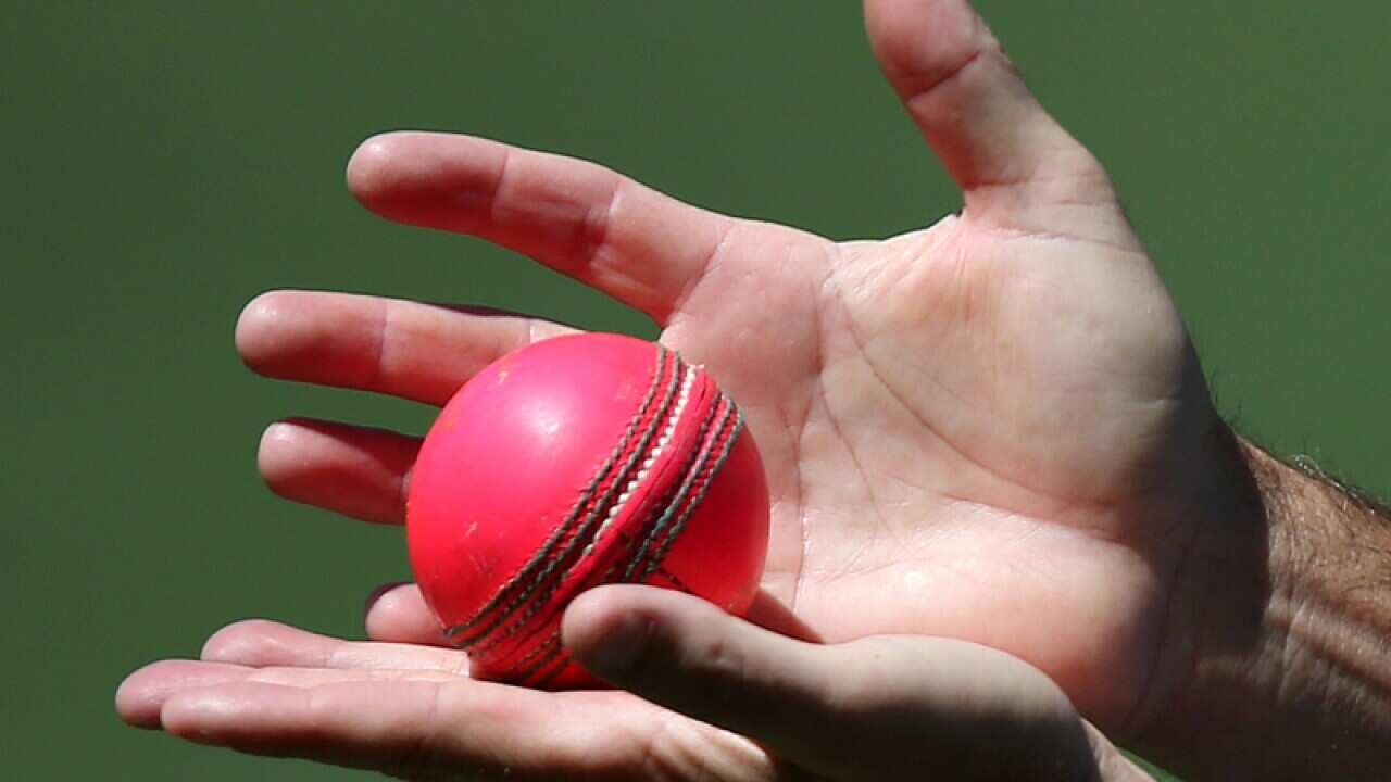 An Australian coaching staff member holds a pink ball