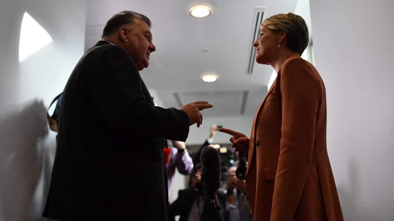 Craig Kelly and Tanya Plibersek argue in the Media Gallery at Parliament