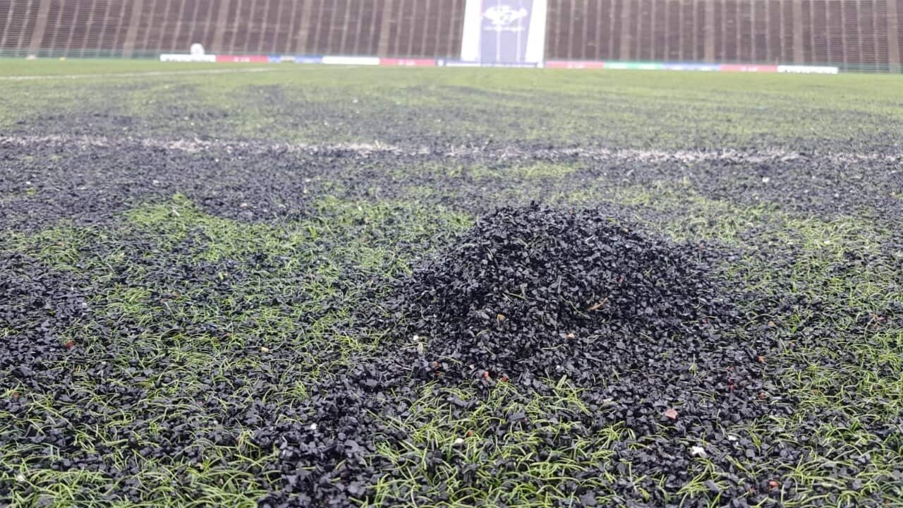 Plastic pitch