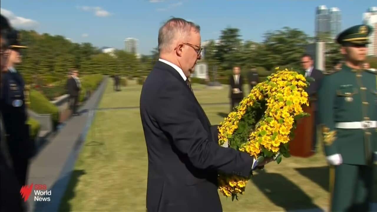 Prime Minister Anthony Albanese heads to South Korea for the APEC summit in the next stop of his diplomatic tour of Asia.