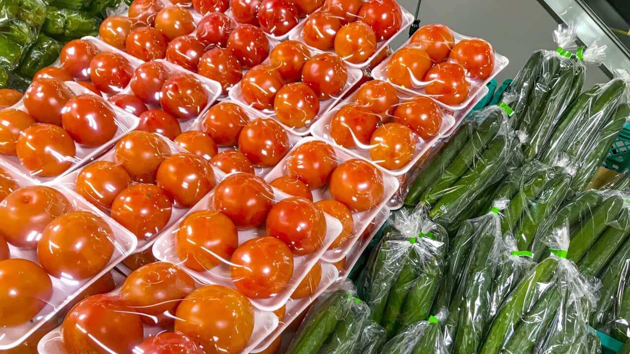 Tomatoes and Cucumbers