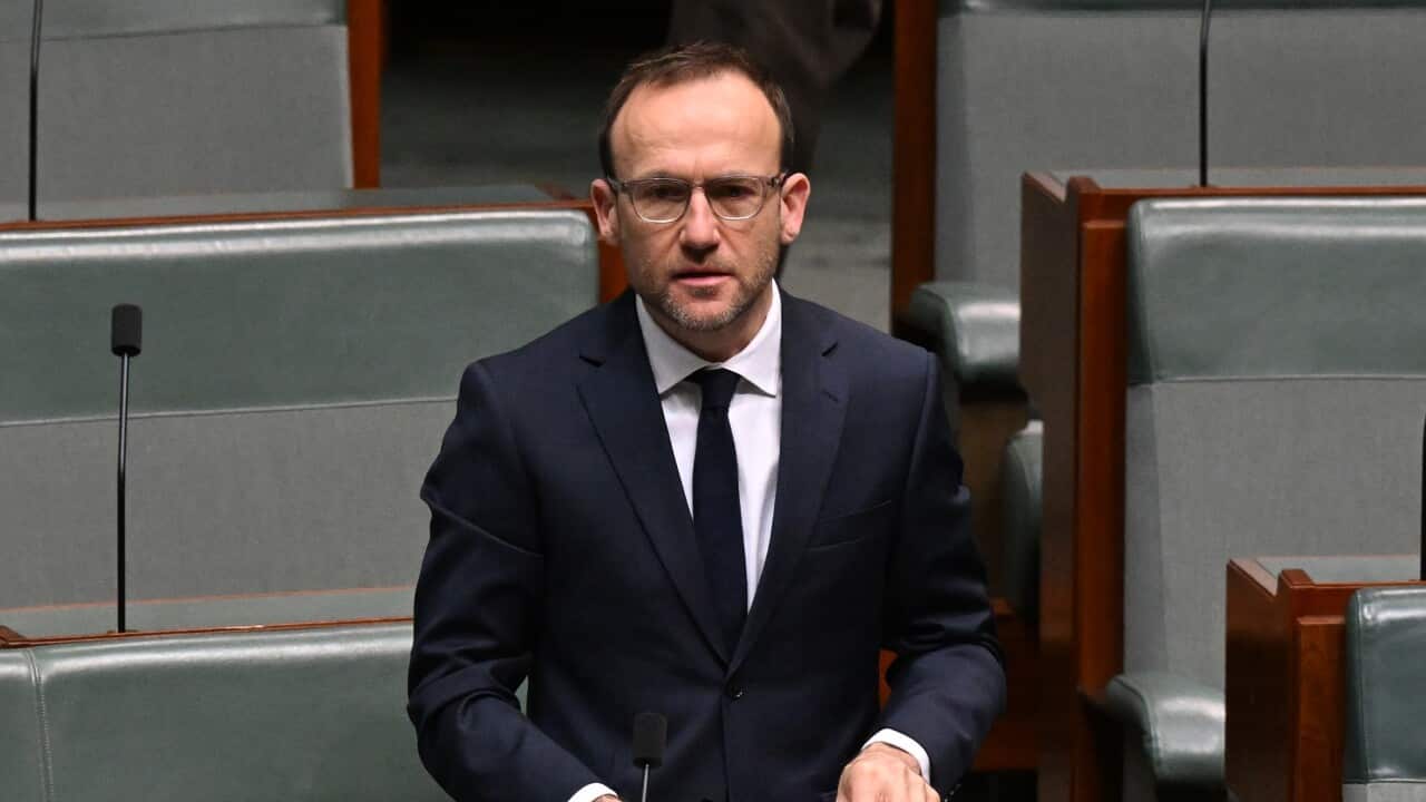 Image for read more article 'READ MORE'