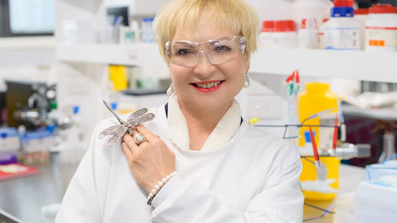 Distinguished Professor Elena Ivanova of RMIT University in Melbourne, Australia