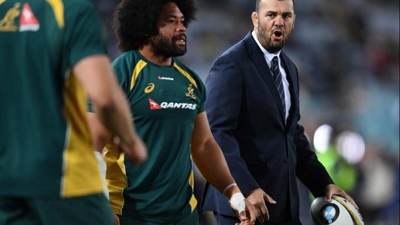 Michael Cheika