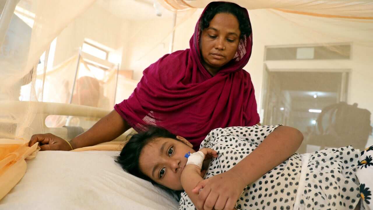 Dengue cases rising across Bangladesh including capital Dhaka. As of Wednesday, 46 people have died in Bangladesh due to recent dengue wave (File Image).